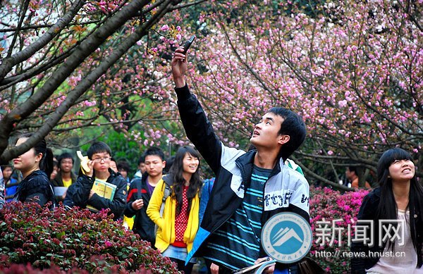 ӣ��Ʈ������԰����������������