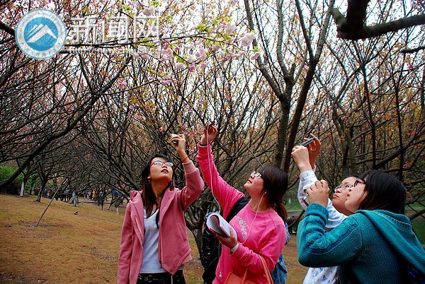 ӣ��Ʈ������԰����������������