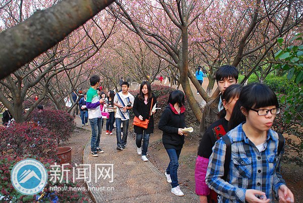 ӣ��Ʈ������԰����������������