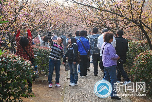 ӣ��Ʈ������԰����������������