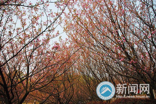 ӣ��Ʈ������԰����������������