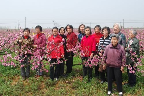 湖北工业大学老年人孝感赏桃花