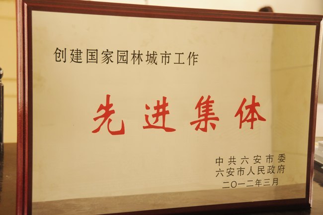 ѧԺٻд԰ֳйȽ塱ƺ