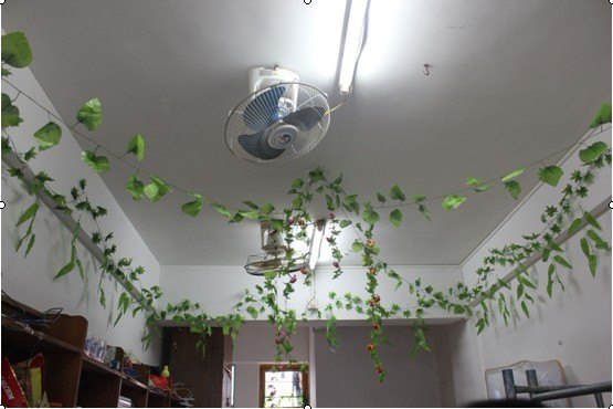 机电工程学院举办“我型我宿”宿舍美化设计大赛