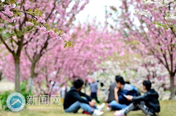 满园春色关不住