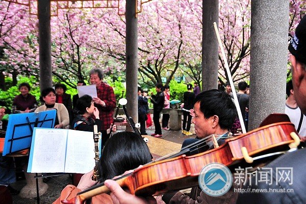 满园春色关不住