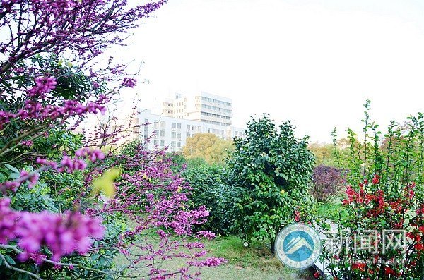 满园春色关不住