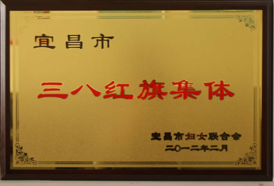 三峡大学科技学院获得“宜昌市三八红旗集体”荣誉称号