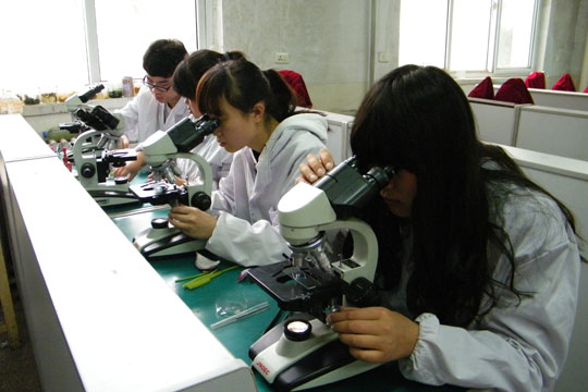 生物科学与技术学院第一届技能大赛圆满结束