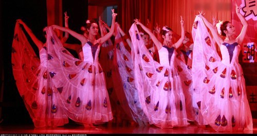 校园风采大赛总决赛举行