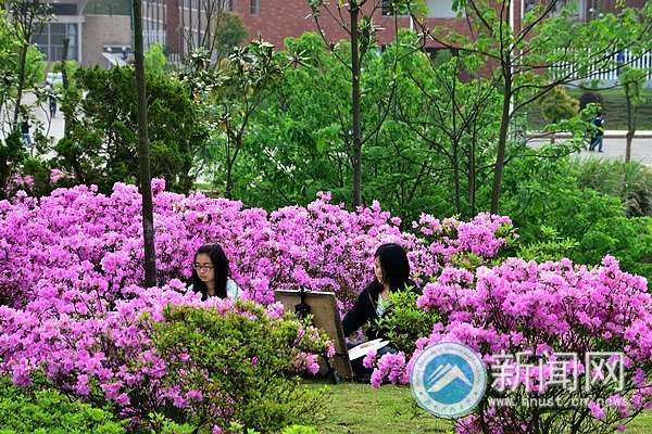 最后的春色,你赏了吗?