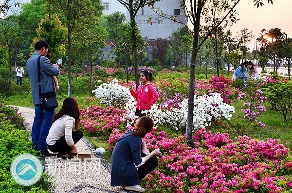 最后的春色,你赏了吗?