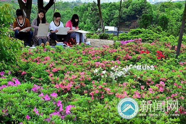 最后的春色,你赏了吗?