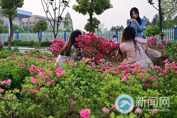 最后的春色,你赏了吗?