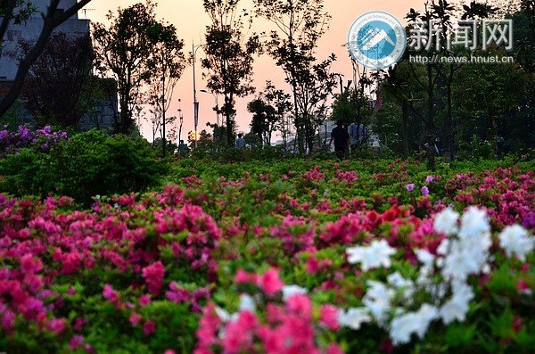 最后的春色,你赏了吗?