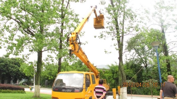 市园林局局长到校指导校园绿化管理工作