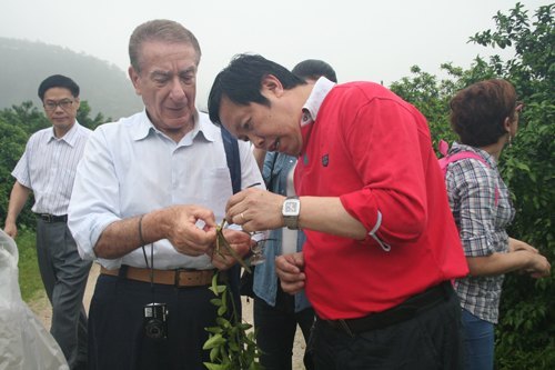 中外专家考察果树研究所 望其办成良种柑橘繁育中心