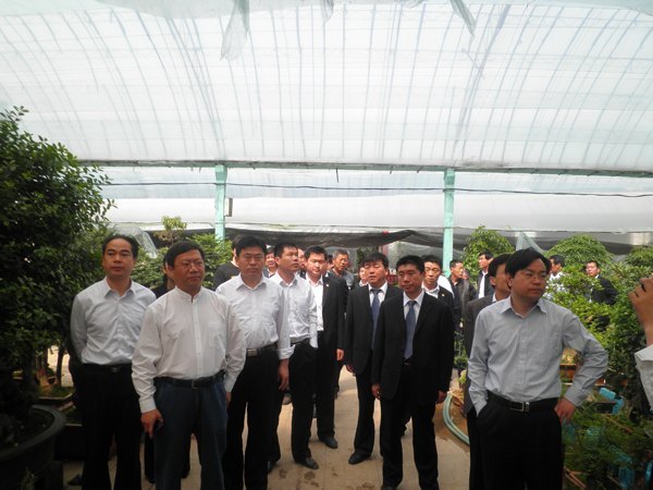 �ĳ���ݷ���޵��������Ϋ�ιۿ���