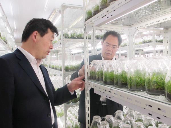 �׽���ɽ��̳ȡ��Բ���ɹ�