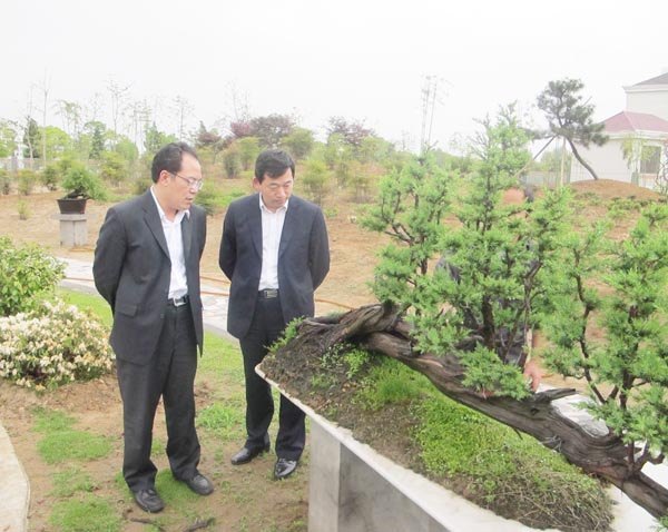 �׽���ɽ��̳ȡ��Բ���ɹ�