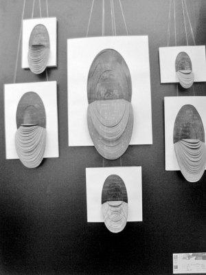 ʮ���ý�弯�б����Ͼ�����ѧԺ2012��ҵչ