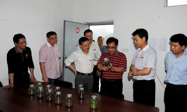 校领导察看学校重点实验室建设