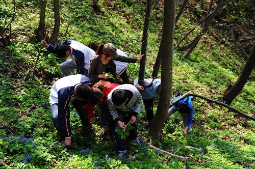 ����ϵ��չ����ɽҰ��ʳ��ֲ��ļ�����Ʒ���