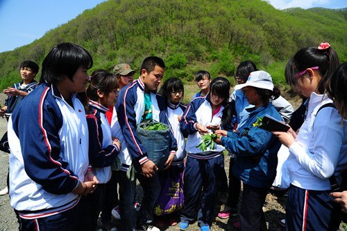 ����ϵ��չ����ɽҰ��ʳ��ֲ��Ʒ���