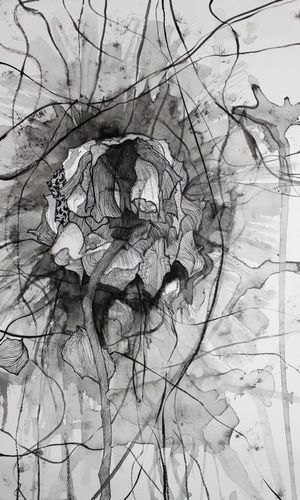 ���Ľ�����������������IDAA���ٴ��Ѽ�