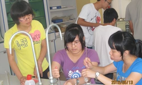 生命科学系举办第四届实验技能大赛