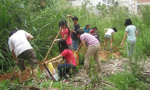 【丰湖党旗红】生命科学系学生党员开展“绿色长廊”建设活动