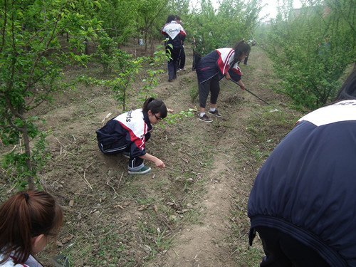 数学系开展大学生素质拓展训练活动