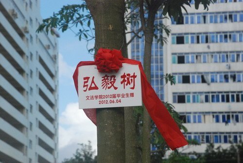 文法学院2012届毕业生为母校捐赠“弘毅树”