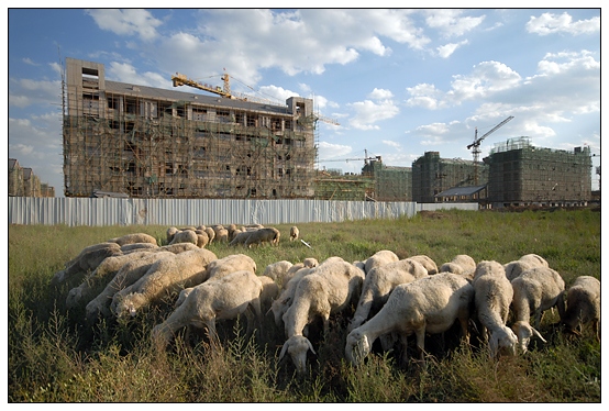 ����ѧԺ��У��������ӽ�