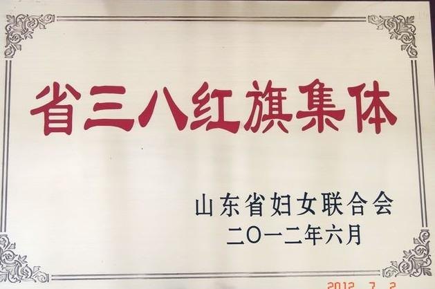 鲁东大学荣获“山东省三八红旗集体”称号