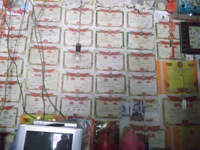 ������ѧ�������Ӹ����Ͽ�չ�������ʵ��