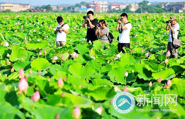 ���ϿƼ���ѧ��ӰЭ����֯�������С���Ӱ����