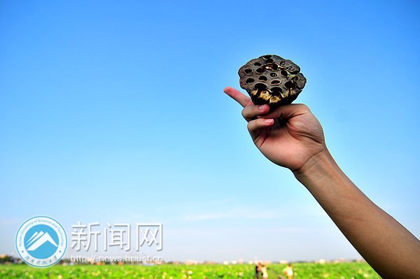 ���ϿƼ���ѧ��ӰЭ����֯�������С���Ӱ����