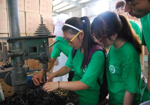 机械工程学院“立足科农,推广农机”暑期社会实践活动圆满完成