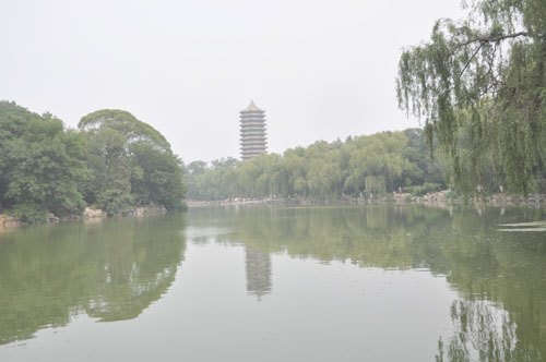 和飞应邀赴北京大学讲学 介绍肇庆学院办学理念及实践