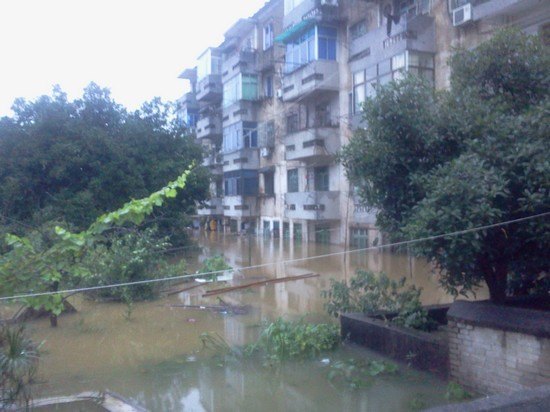 陶研所:暴雨无情人有情 抗险救灾谱爱心