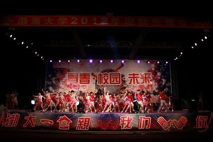 迎新晚会笑语欢歌美丽烟花绽放夜空
