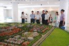 团中央学校部副部长杜汇良一行来郑州大学调研指导团学工作