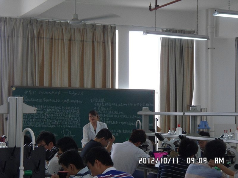 ѧѧԺٰУʮ챾ƽѧĦѡ