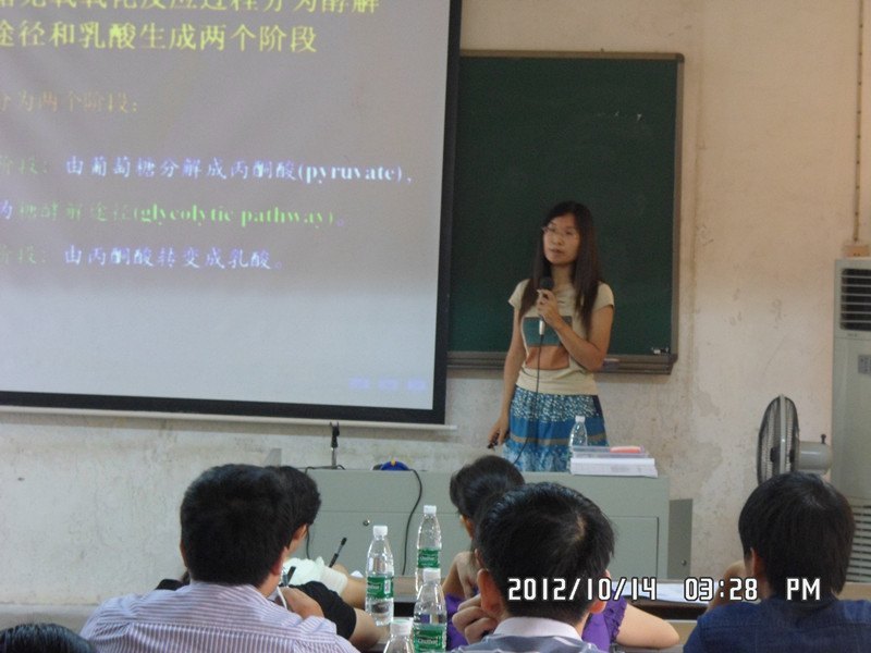 ѧѧԺٰУʮ챾ƽѧĦѡ