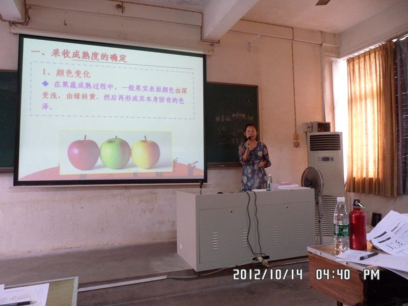 ѧѧԺٰУʮ챾ƽѧĦѡ