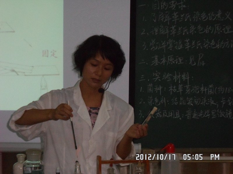 ѧѧԺٰУʮ챾ƽѧĦѡ