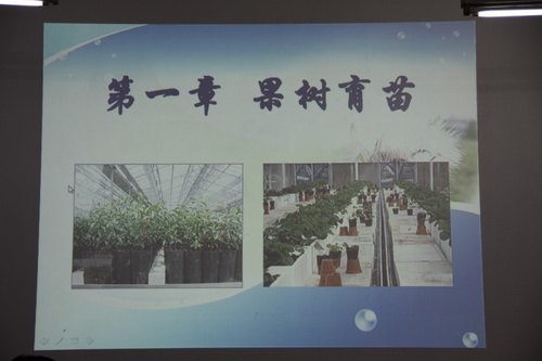 植物科学学院举办青年教师教学基本功竞赛植物科学学院举办青年教师教学基本功竞赛