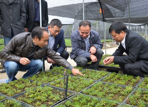 安徽教育厅厅长程艺教授莅临皖西学院及产学研合作单位考察调研