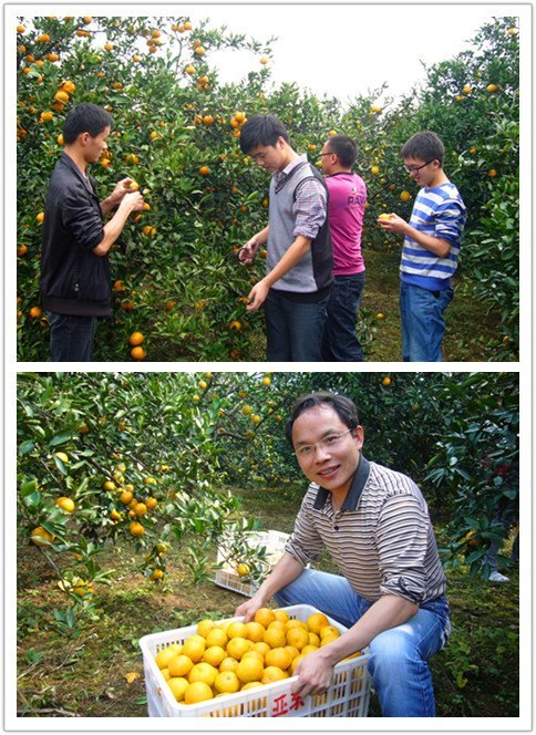 ��������������   ���ﻥ��ů����